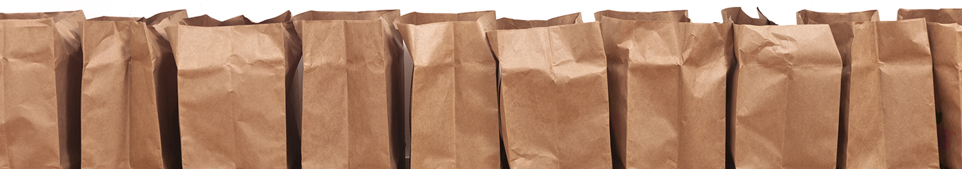 grocery brown bags